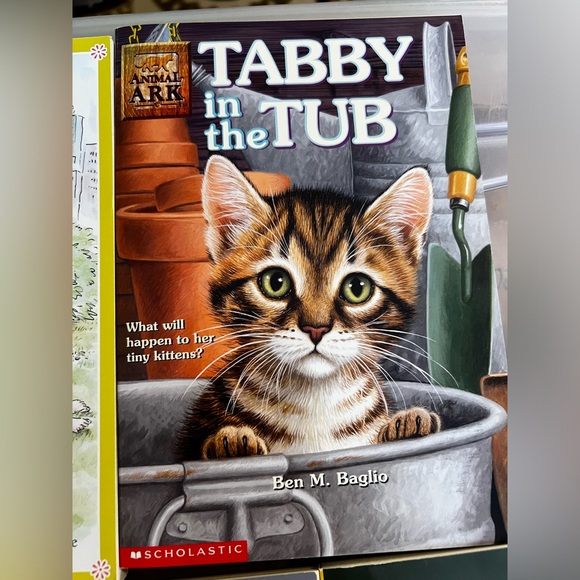 Fiction Book Lot 6 Like New Books Juvenile Readers Chapters Scholastic School - Picture 3 of 9